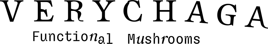 Verychaga logo