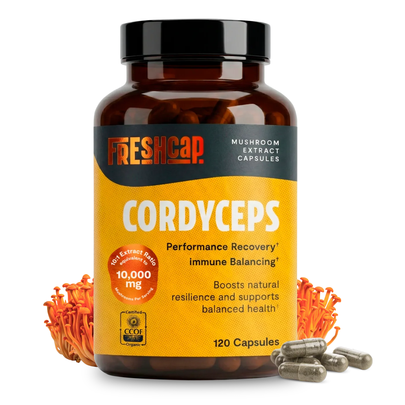 Organic Cordyceps Mushroom Supplement Capsules