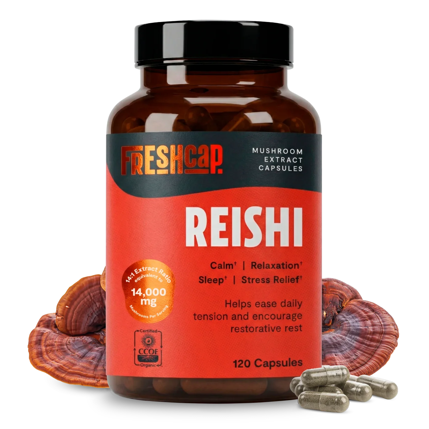 Organic Reishi Mushroom Capsules