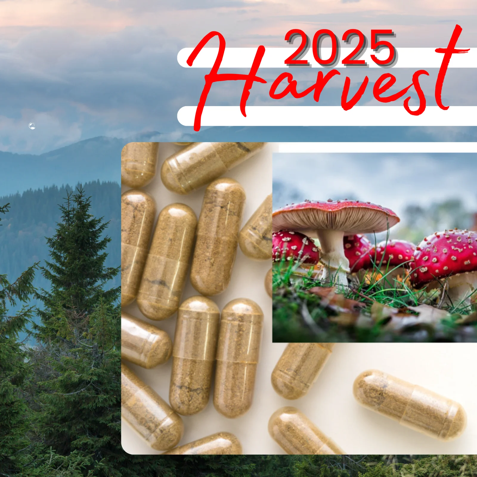 Awakening Roots Microcapsules
