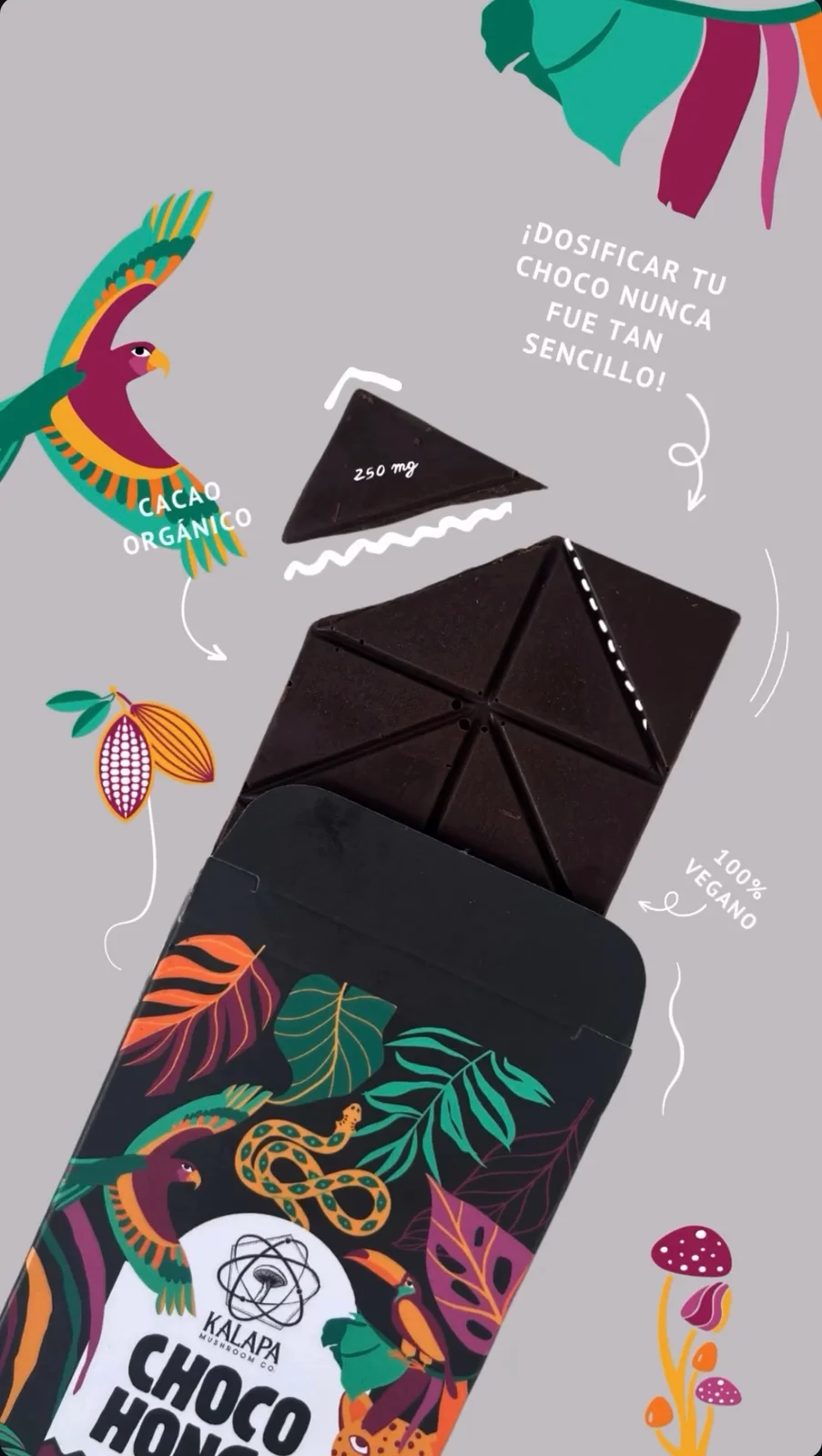 Kalapa ChocoHongo Microdosis